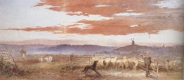 Frederick james shields Gathering the Flock at Sunset (mk37) oil painting picture